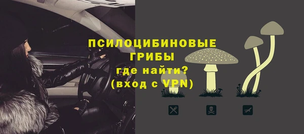 молекула духа Армянск