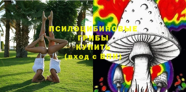 кокс Аркадак