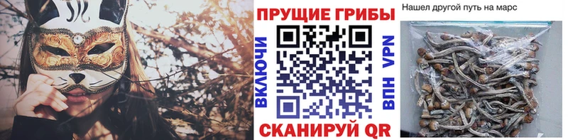 блэк спрут зеркало  Светлоград  Галлюциногенные грибы ЛСД 